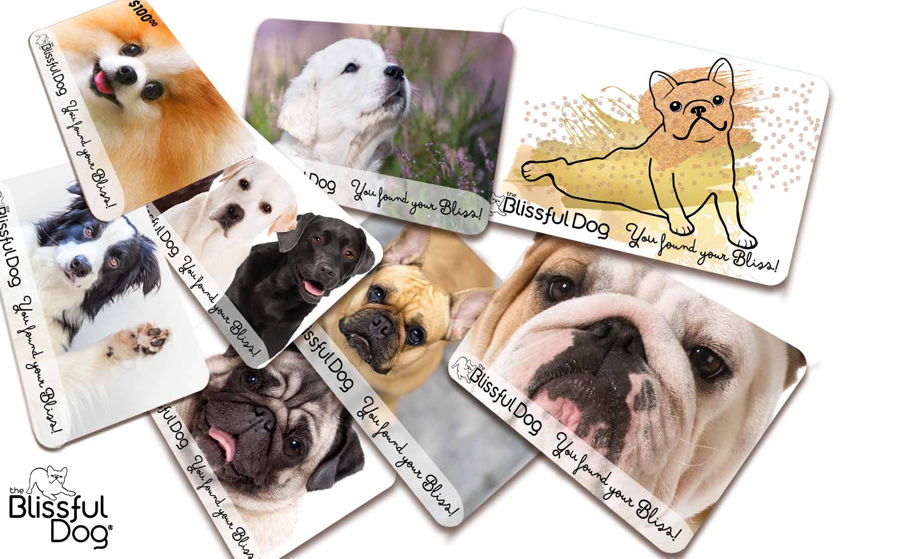 blissful dog gift cards