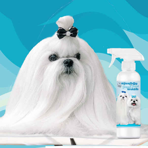 Blissfully Fresh™ Face Wash Your GoTo Maltese Face Wash The