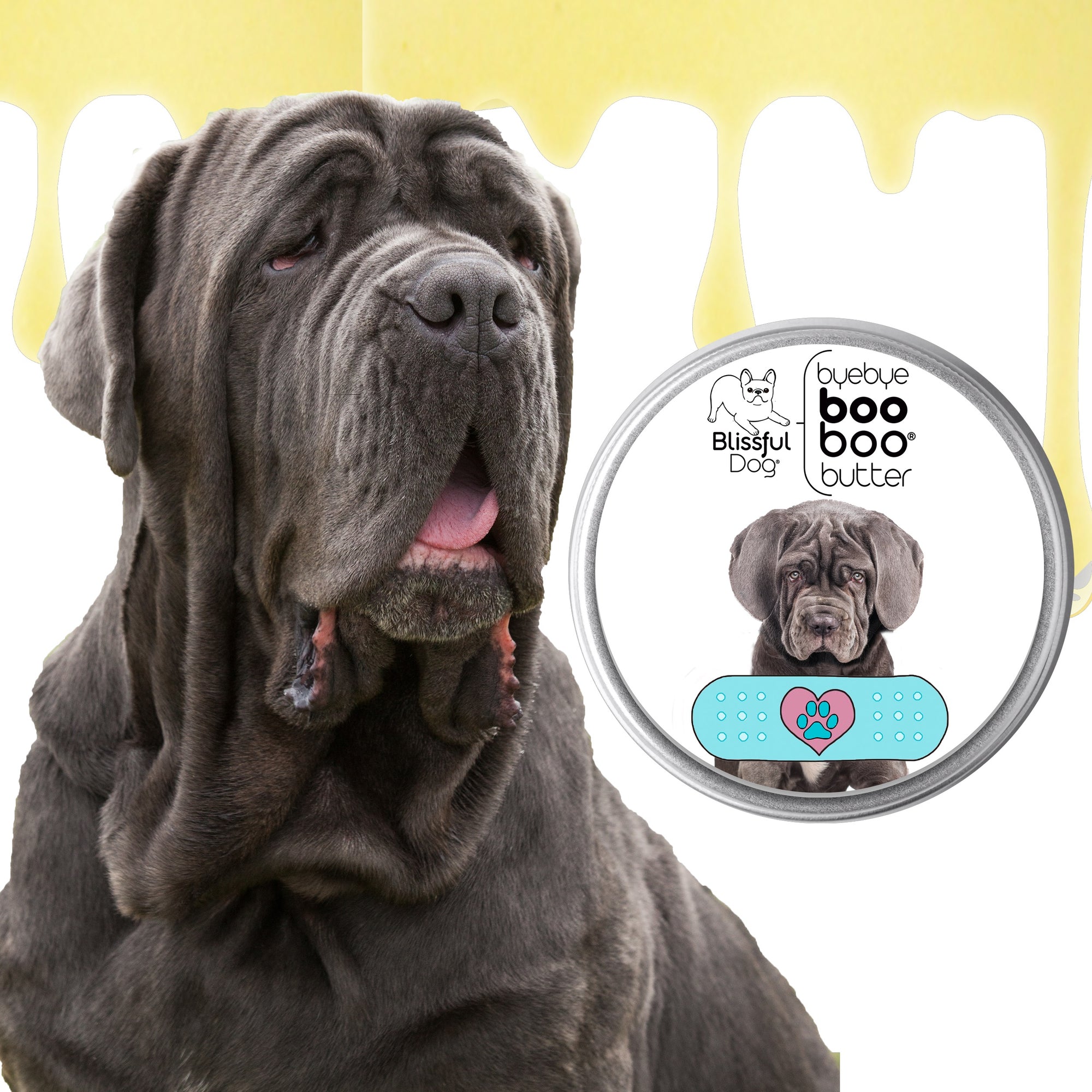 neapolitan mastiff 