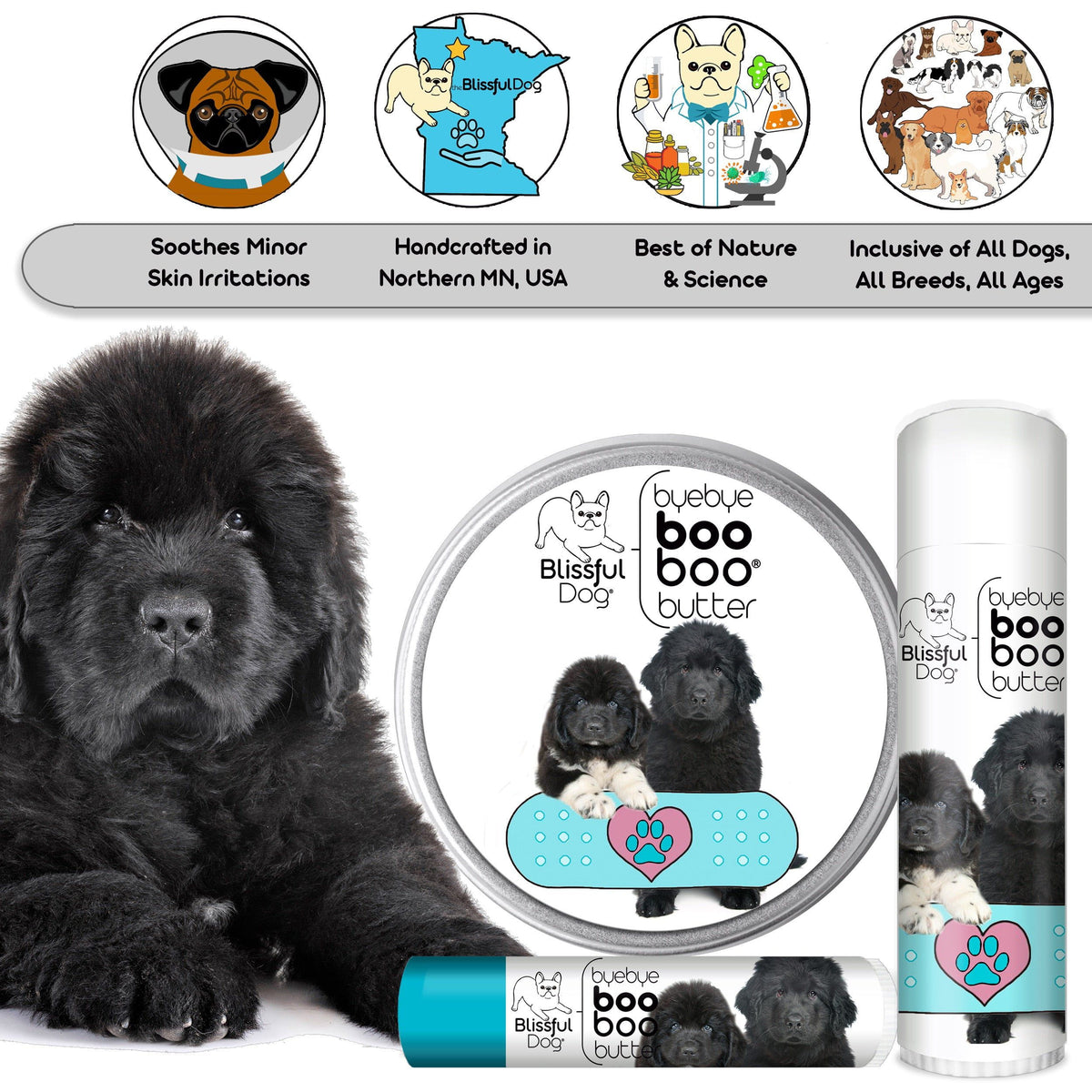 newfoundland dog care