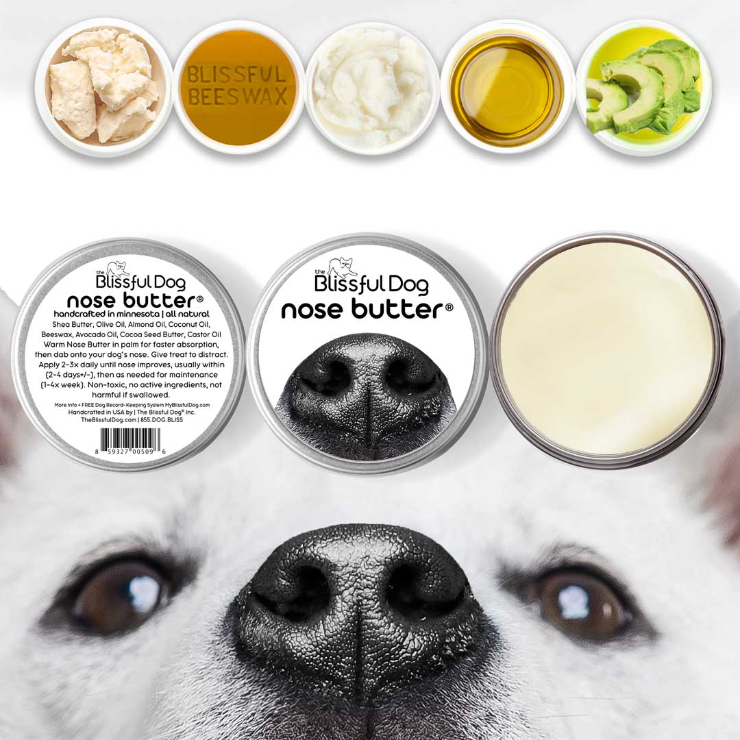 The Blissful Dog NOSE BUTTER for Your Dog s Rough Dry Crusty Nose