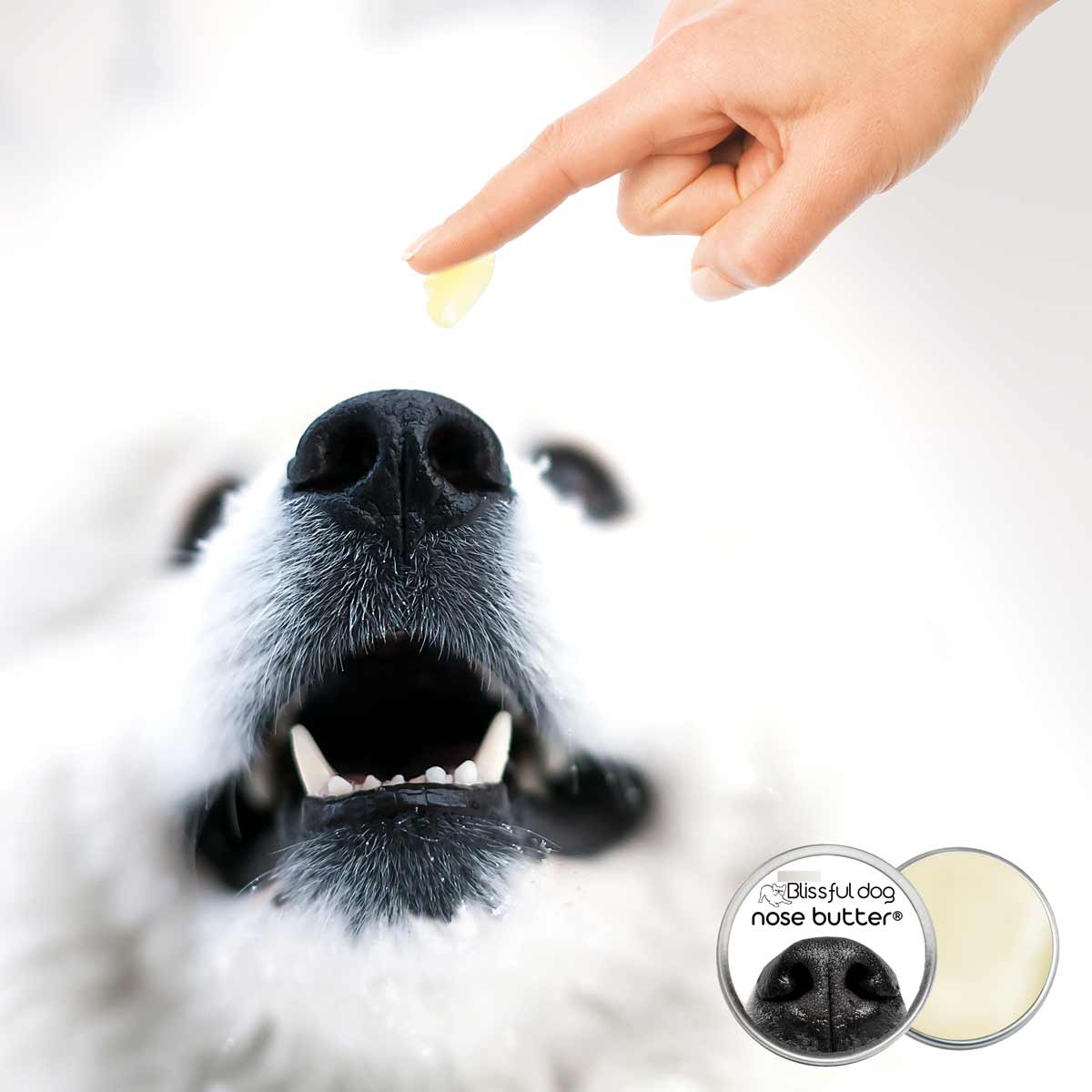 NOSE BUTTER FOR DOGS