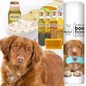 nova scotia duck tolling retriever balm