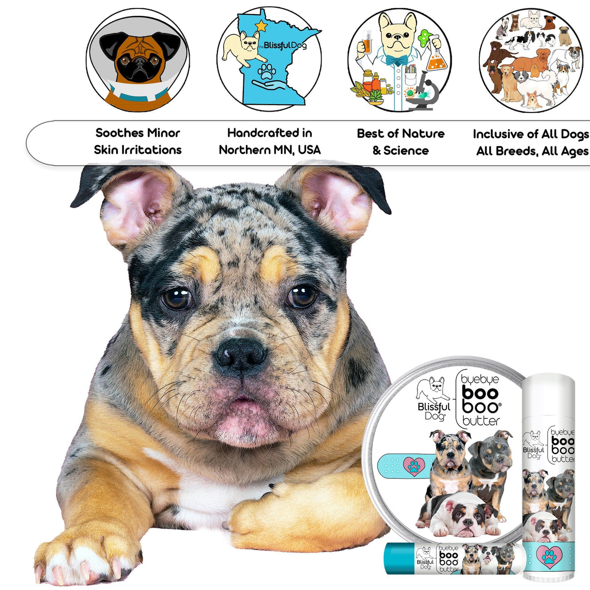 olde english bulldoggee itchy skin