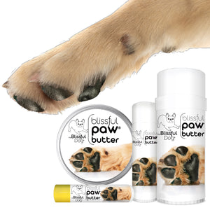 dry dog paw pads