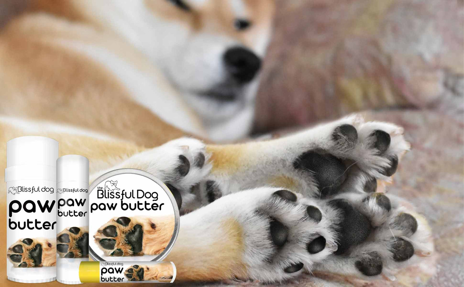 Cracked Dog Paw Butter Dry Rough Dog Paw Pads Dog Paw Foot Pad