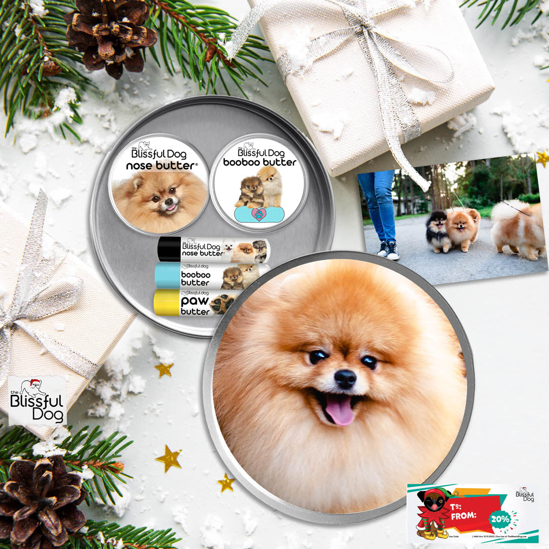 Pomeranian dog gift