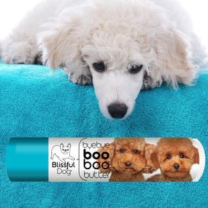 poodle skin care