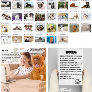 2024 Dog Breed Calendar