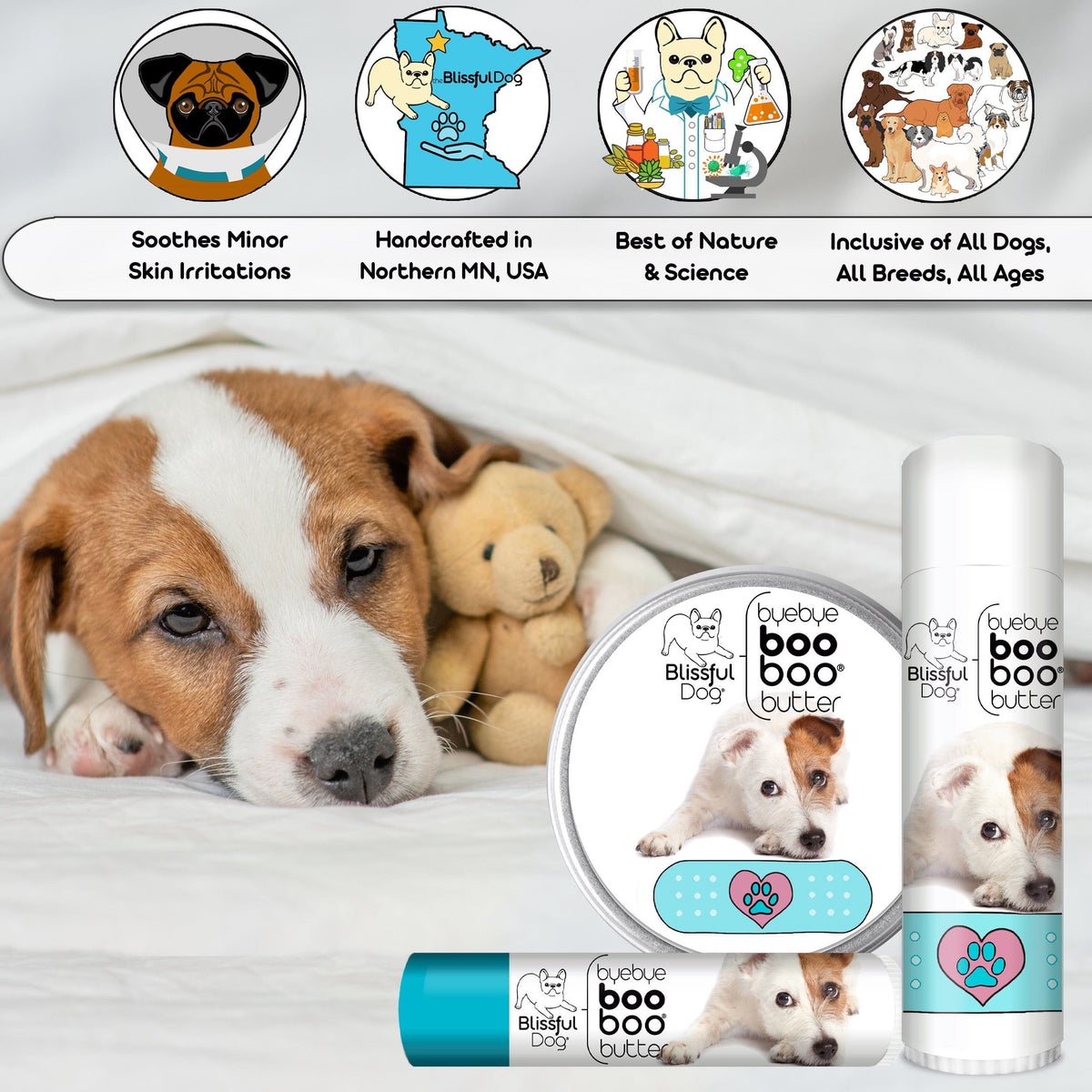 jack russell terrier skin care