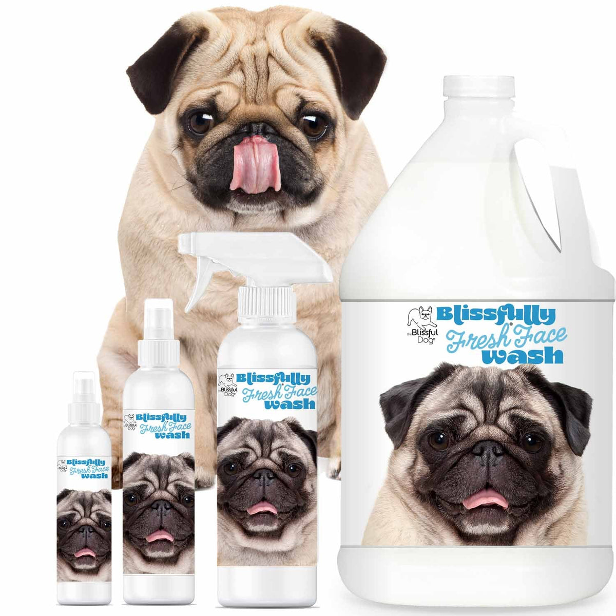 Pug face wash