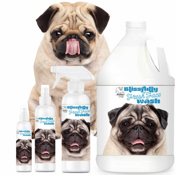PUG_BFFS_ALL4_600x.jpg?v=