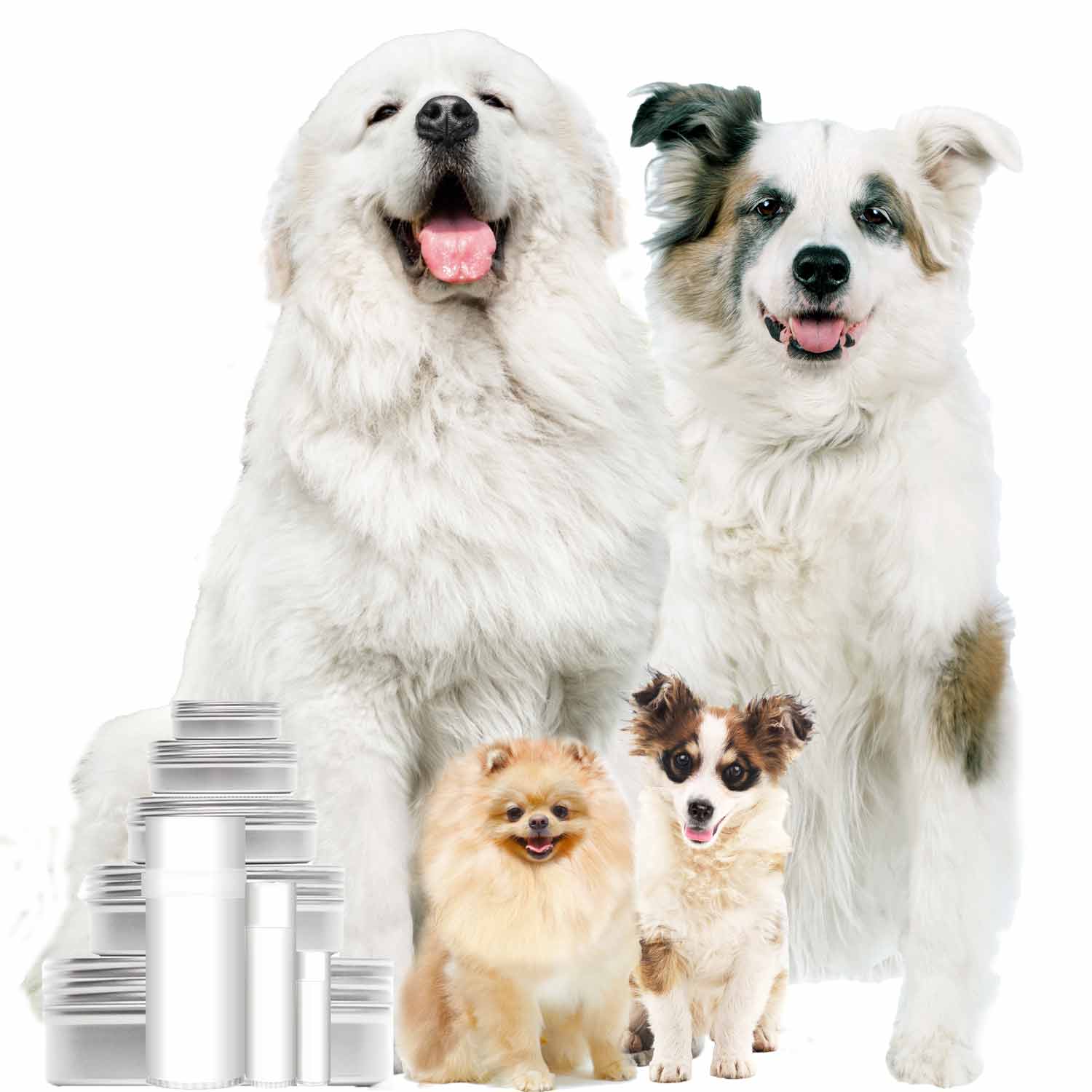 SKIN CARE FOR ALL DOGS
