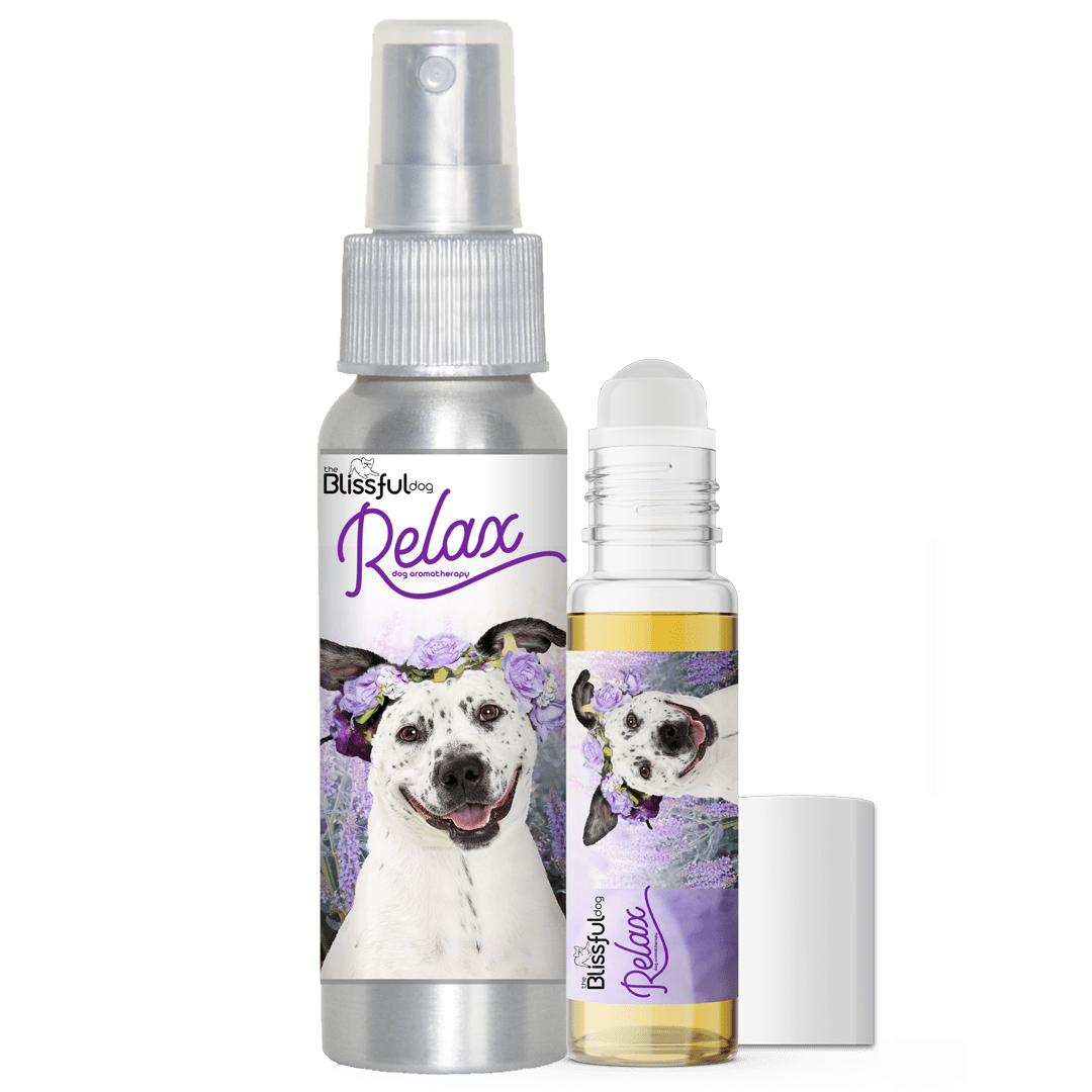 The Blissful Dog Reviews, Touching Testimonials and Thank You Notes