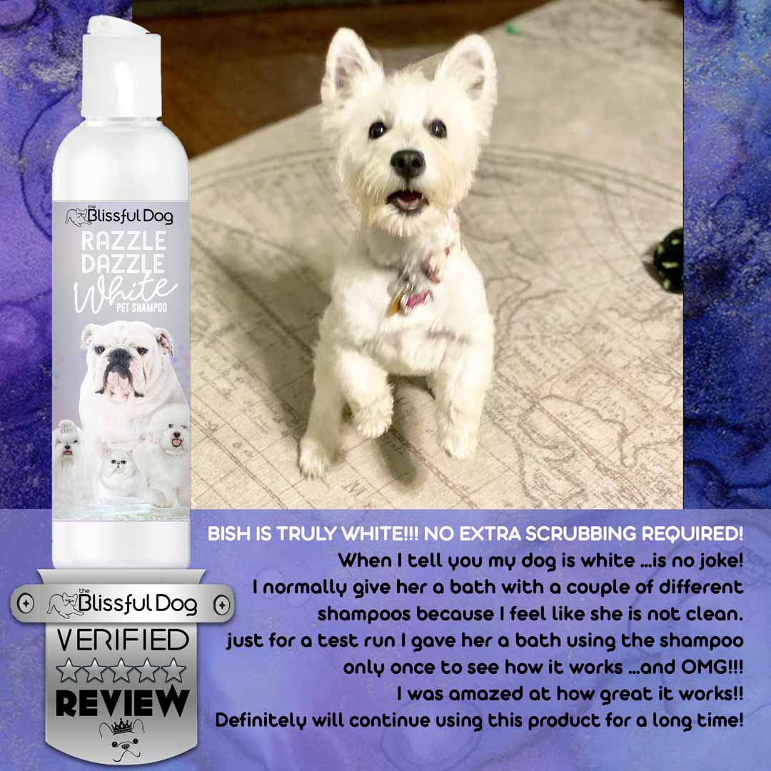 west highland white terrier shampoo