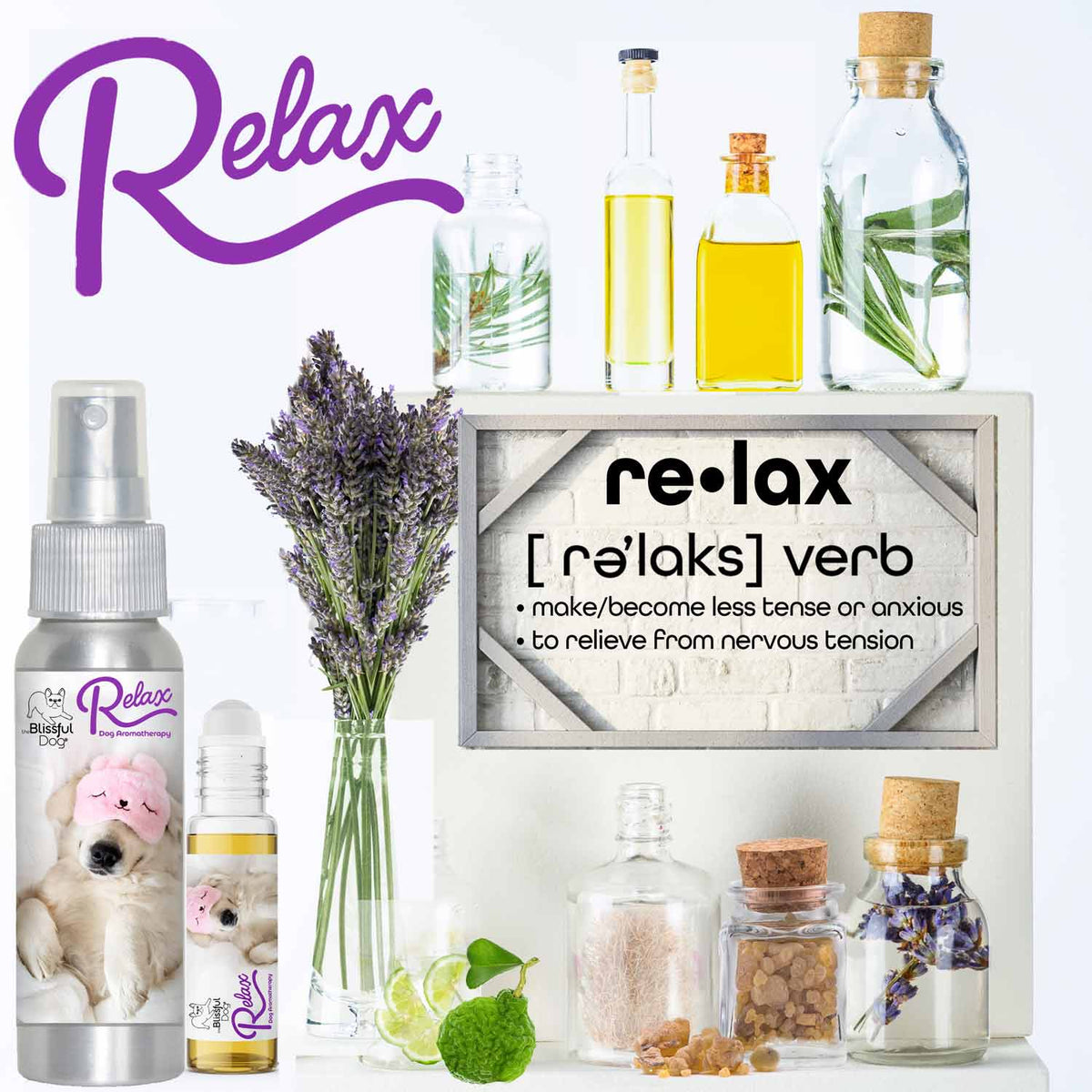 golden retriever scared of thunder