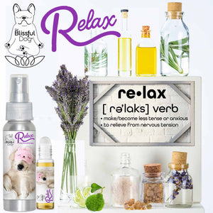 3 Cute Puppies Relax Dog Aromatherapy