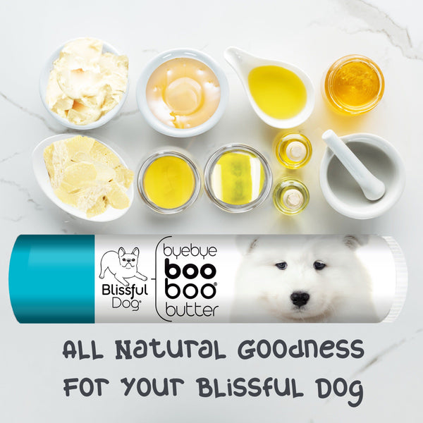 Herbal, All Natural Boo Boo Butter for Samoyed Skin Care - The Blissful Dog