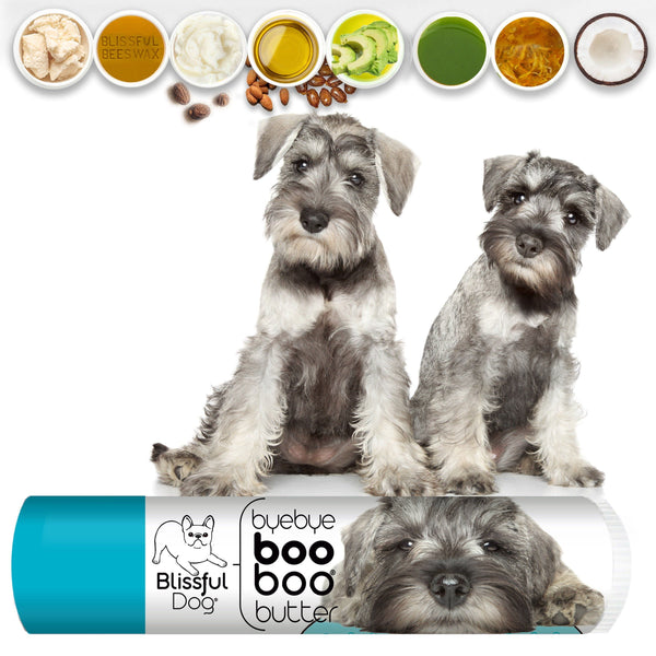 Skin Allergies Schnauzer Food Allergies Boo Boo Butter For