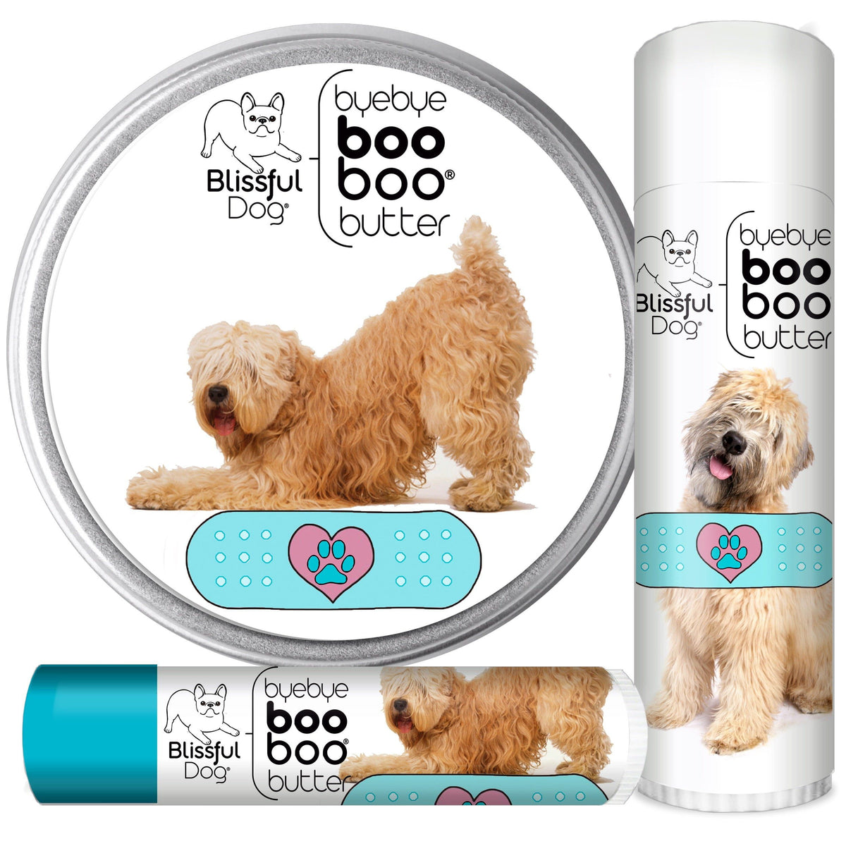 Soft Coated Wheaten Terrier 