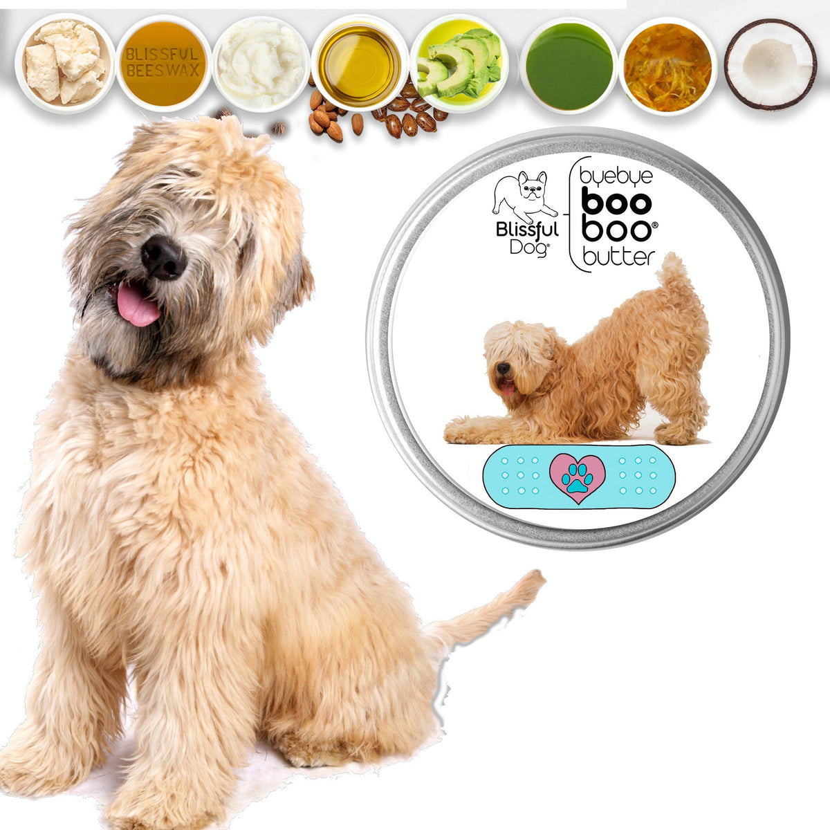 Soft Coated Wheaten Terrier skin care
