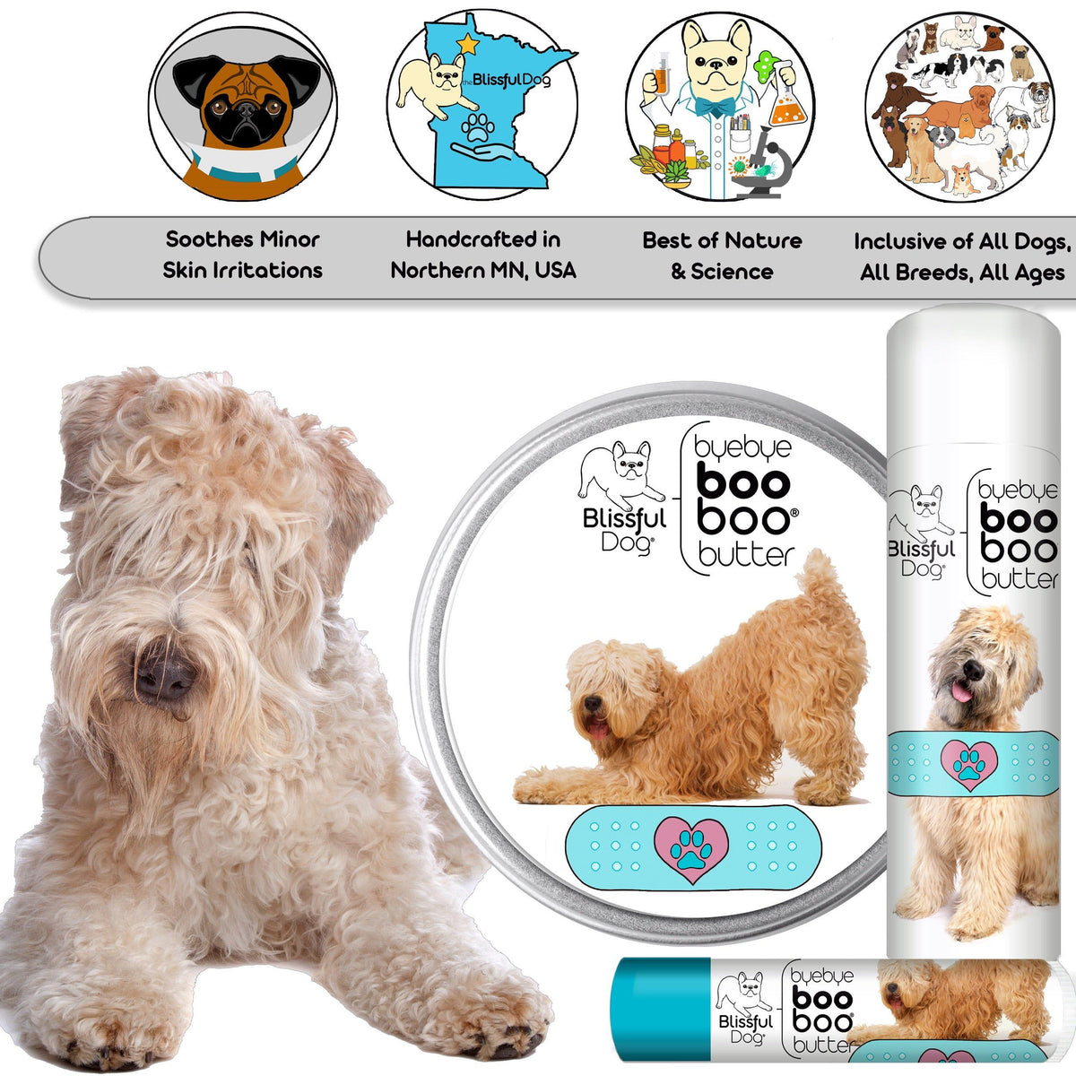 Soft Coated Wheaten Terrier grooming