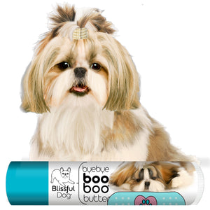 shih tzu boo boo butter