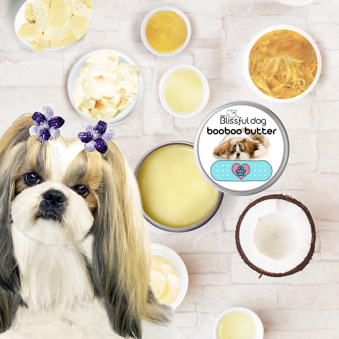 The Blissful Dog Boo Boo Butter Soothes Bichon Frise Skin Irritations