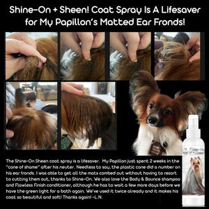 The Blissful Dog Spray Conditioner Leave-in De-Tangling, Dematt +Shine