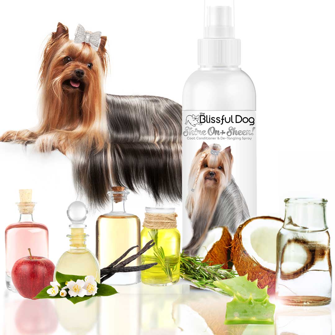 The Blissful Dog Spray Conditioner Leave-in De-Tangling, Dematt +Shine