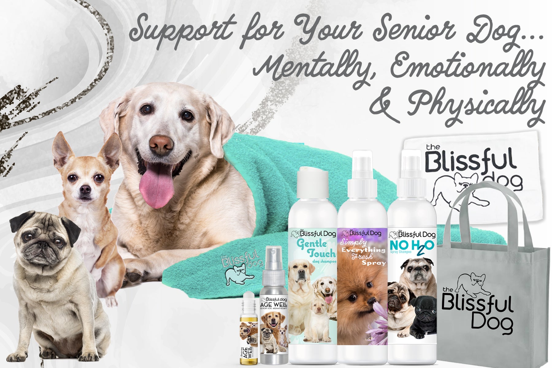 senior dog care