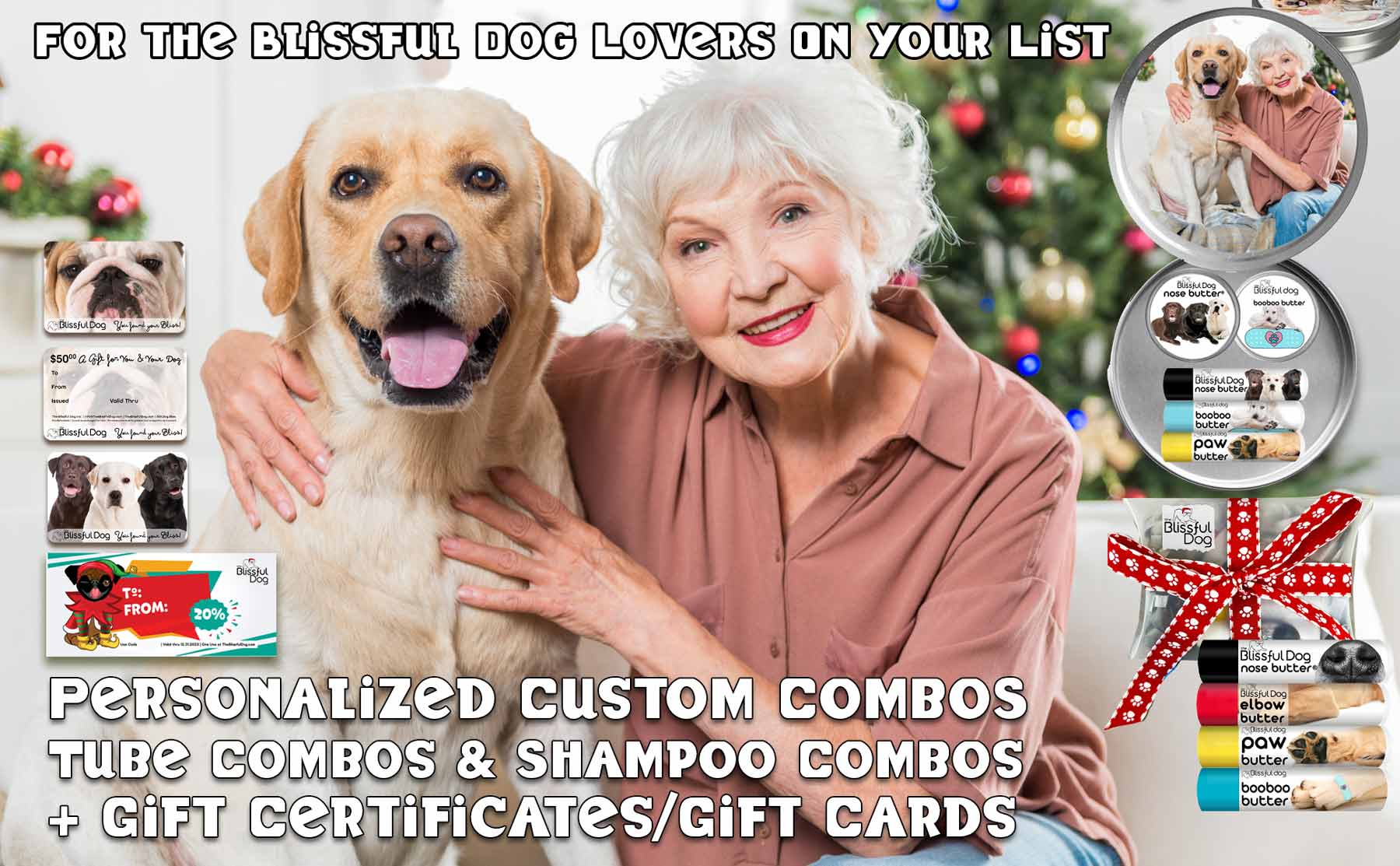 senior woman and labrador retriever