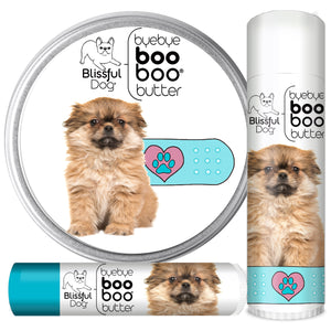 tibetan spaniel skin care