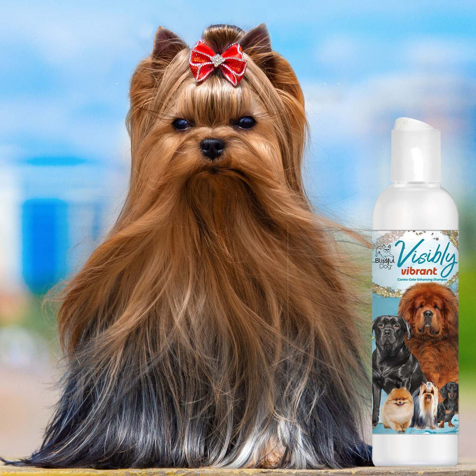 The Blissful Dog Visibly Vibrant Color Enhancing Dog Shampoo