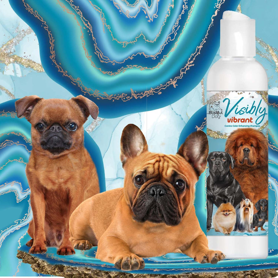 The Blissful Dog Visibly Vibrant Color Enhancing Dog Shampoo