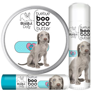 weimaraner skin care