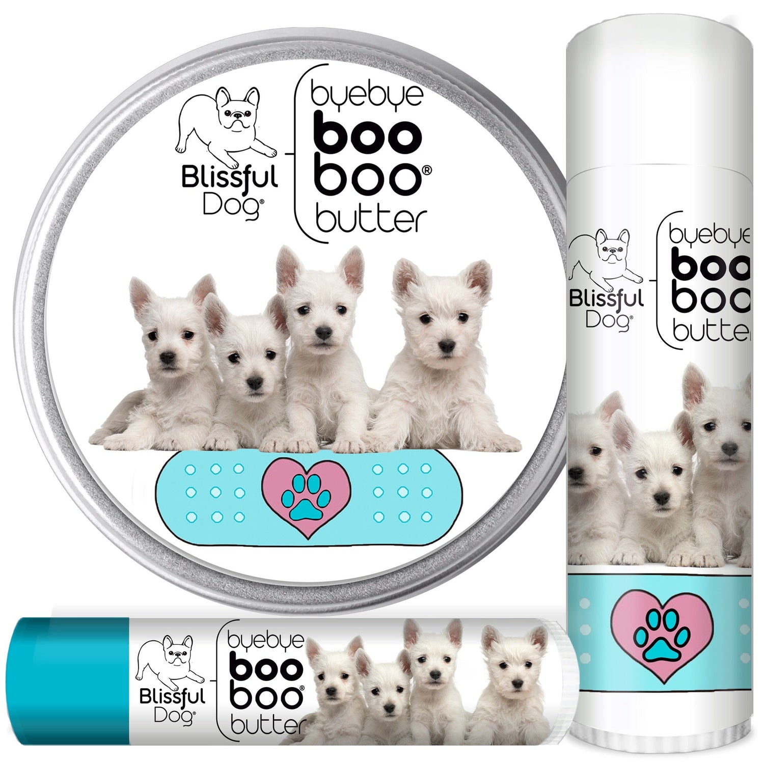 Rase de caini: West Highland White Terrier / Westie
