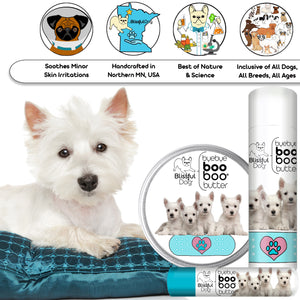 West Highland White Terrier Boo Boo Butter