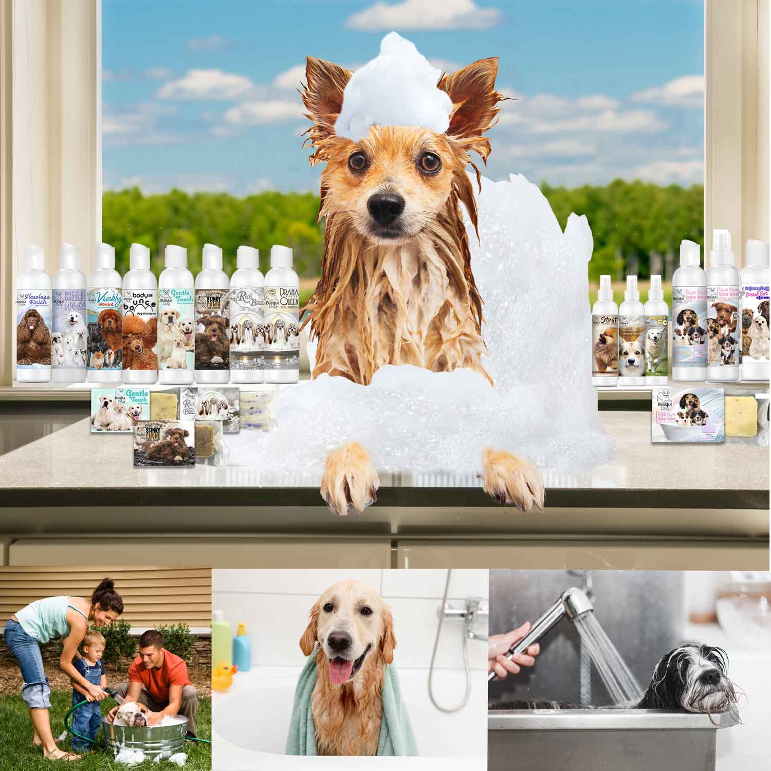 Where to bathe your dog