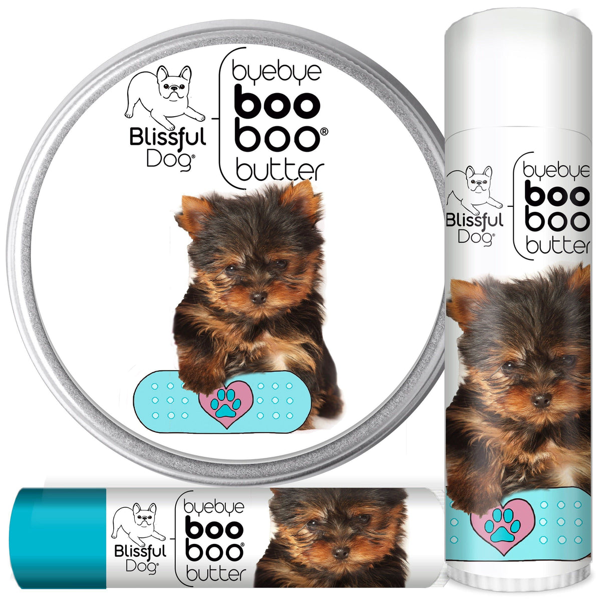 yorkshire terrier grooming