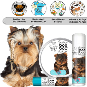 yorkshire terrier skin care