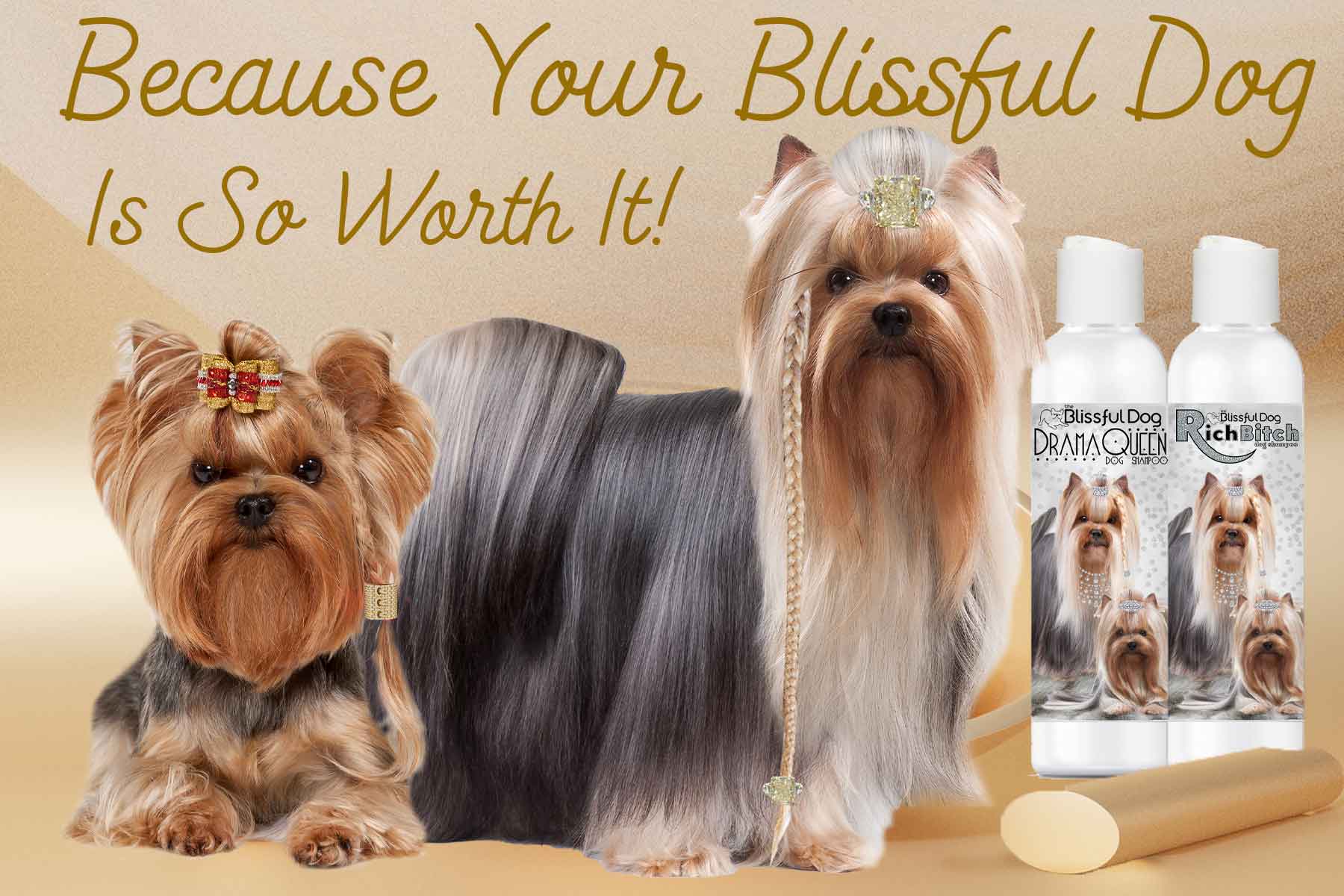 Yorkshire-terrier-shampoo