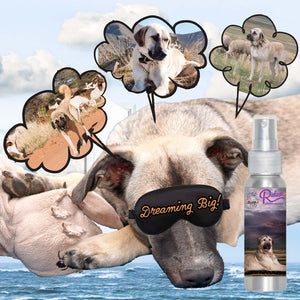 anatolian shepherd aromatherapy