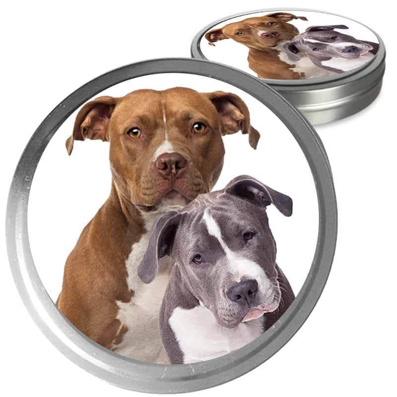 American Staffordshire Terrier Custom Combo