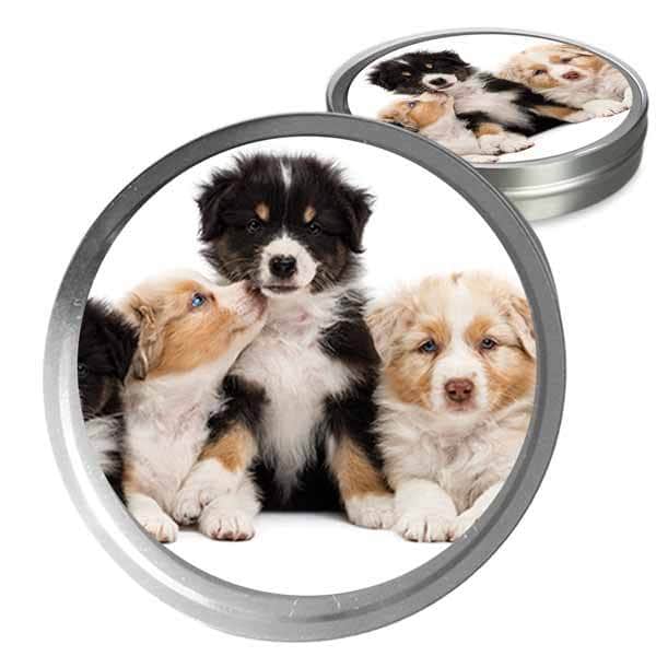 Australian Shepherd Custom Combo