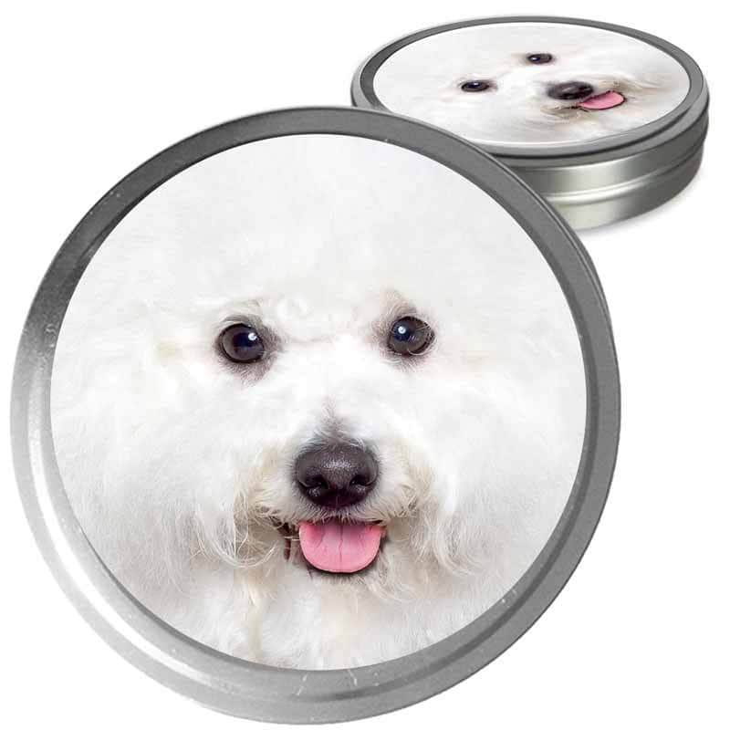 Bichon Frise Custom Combo