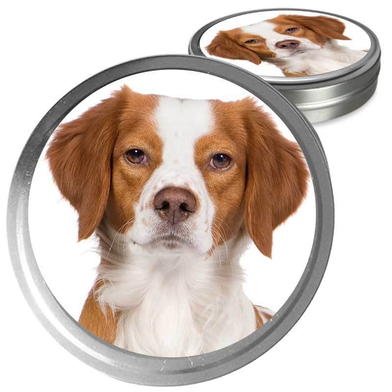 Brittany Custom Combo