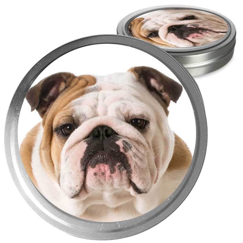 Bulldog Custom Combo