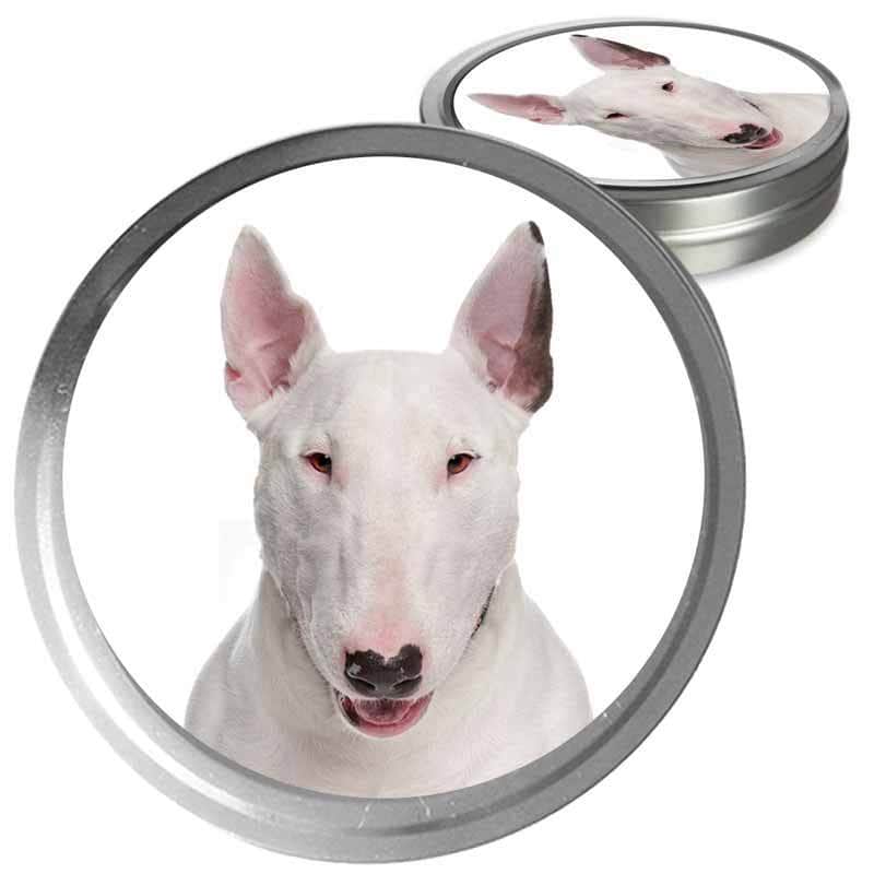 Bull Terrier Custom Combo