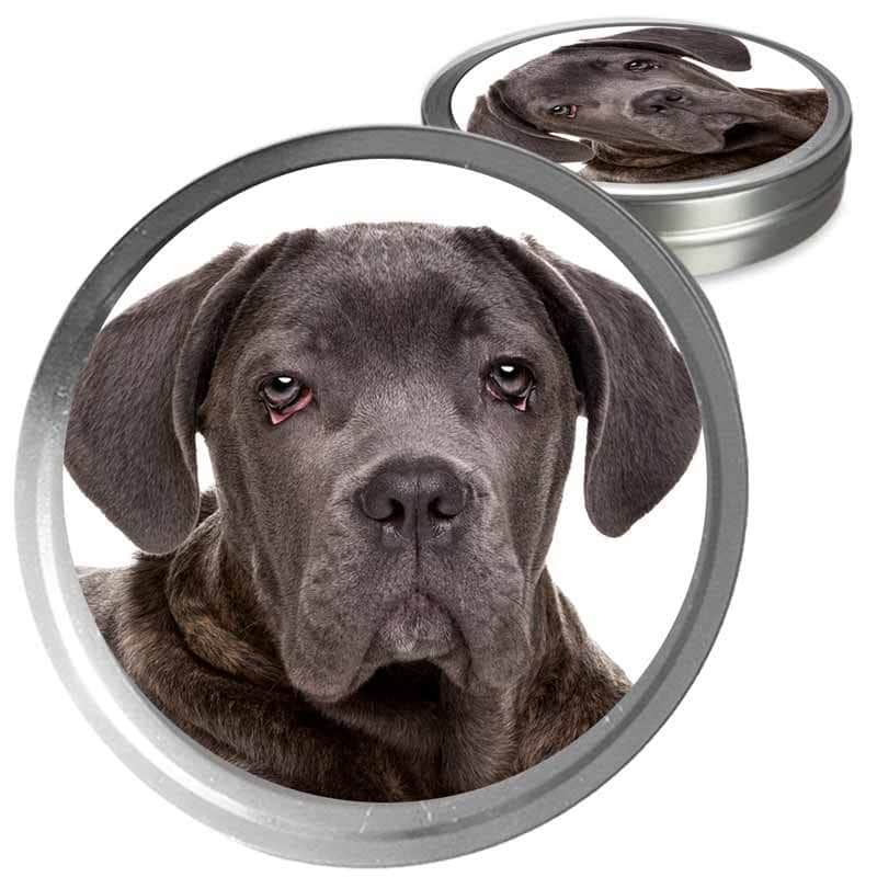 Cane Corso Custom Combo